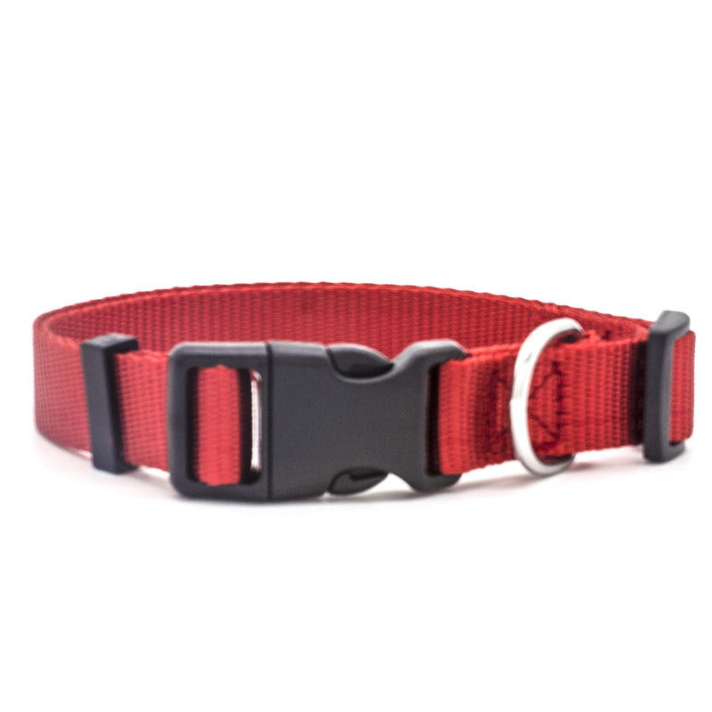 Endless Comfort: Durable Nylon Collar for Dogs and Cats