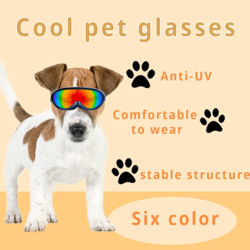 Chic Pooch Shades: Ultimate Outdoor Eye Protection for Pets