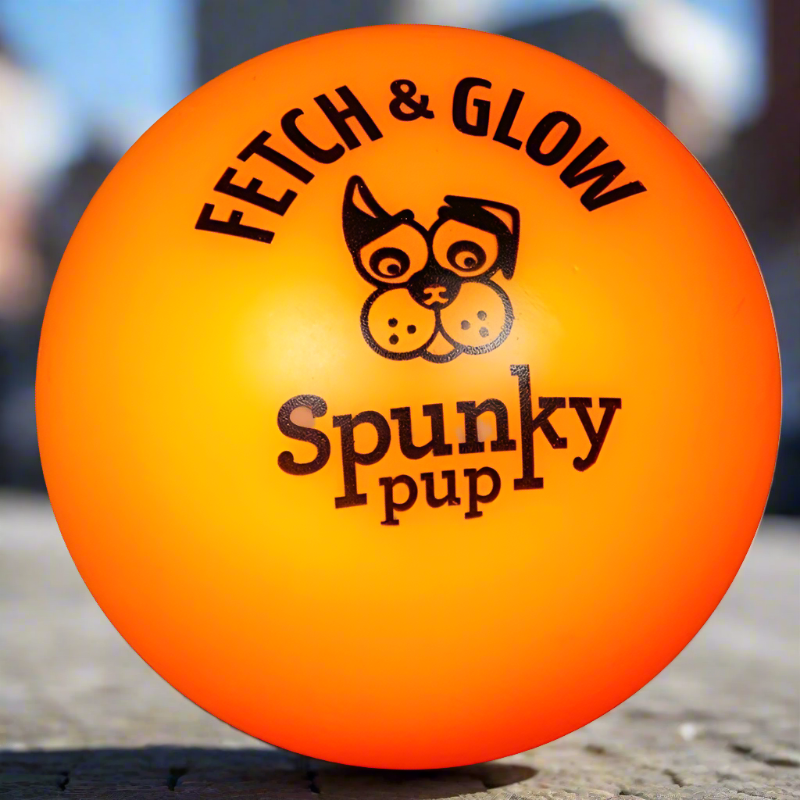 Juguete para perros Spunky Pup Fetch and Glow Ball, colores surtidos - Mediano - 1 unidad