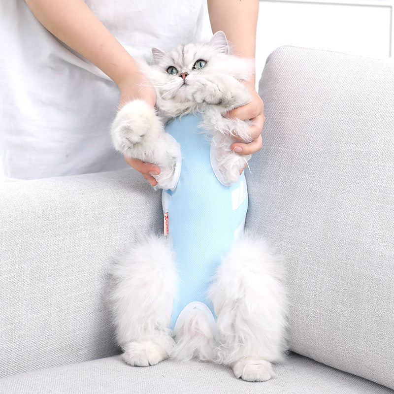 Summer Breeze Cat Suit: Lightweight Comfort for Feline Care