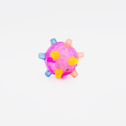 Glowing Pet Ball Toy