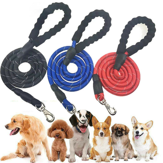 Hands-Free Elastic Dog Leash & Jogging Lead