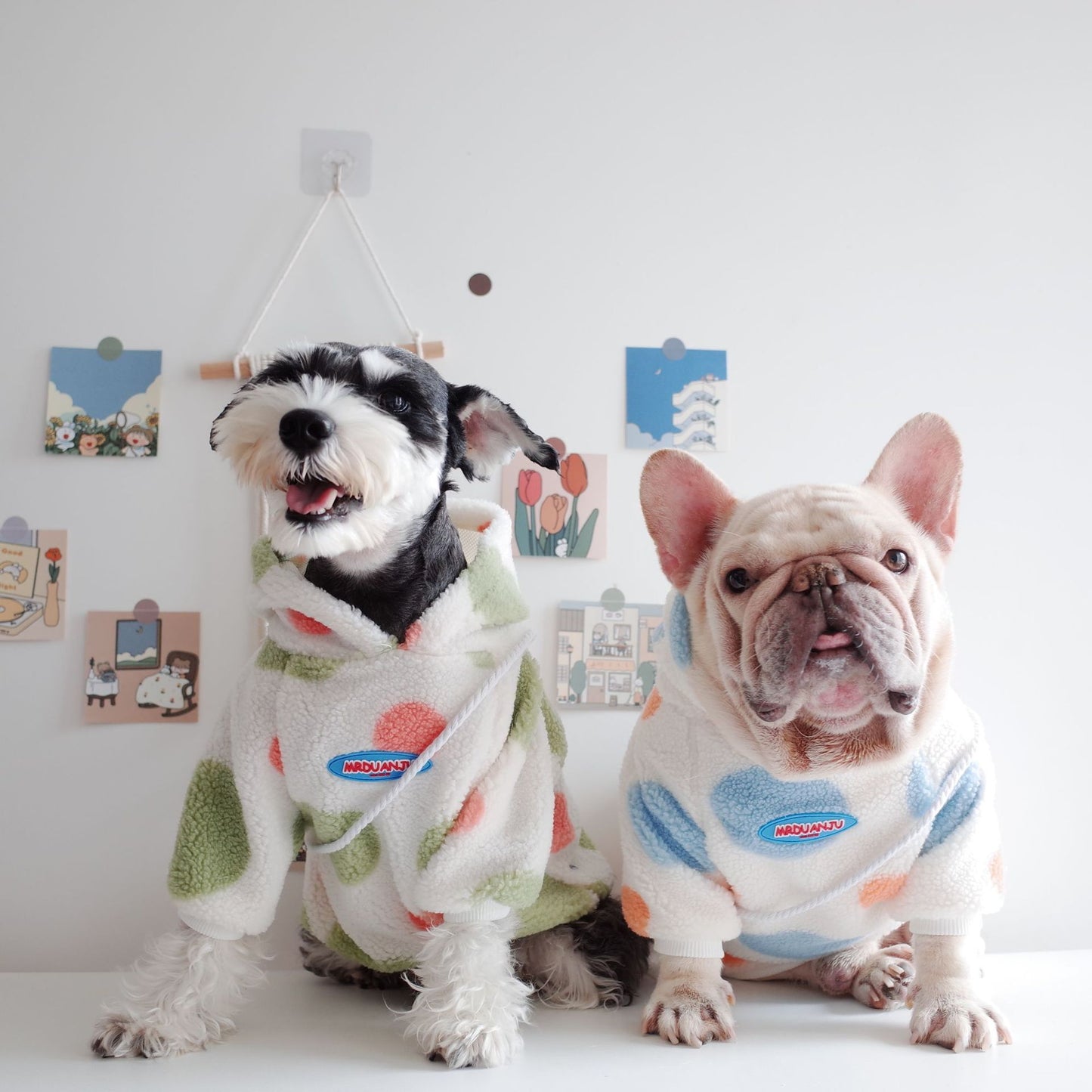 Dot Print Fleece Dog Hoodie