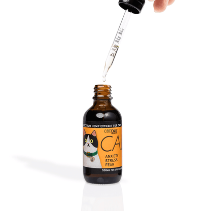 Serenity Paws: CBD Calmness Tincture for Cats