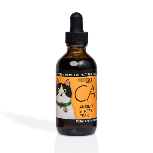 Serenity Paws: CBD Calmness Tincture for Cats