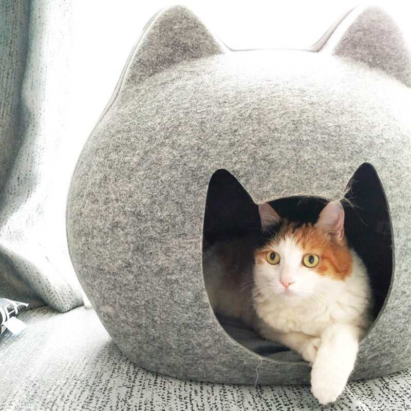 Enclosed Pet Cat House