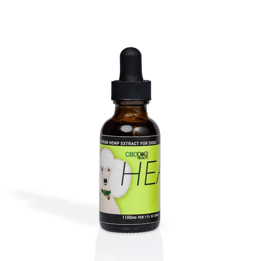 Serenity Paws: CBD Heal Tincture for Dogs