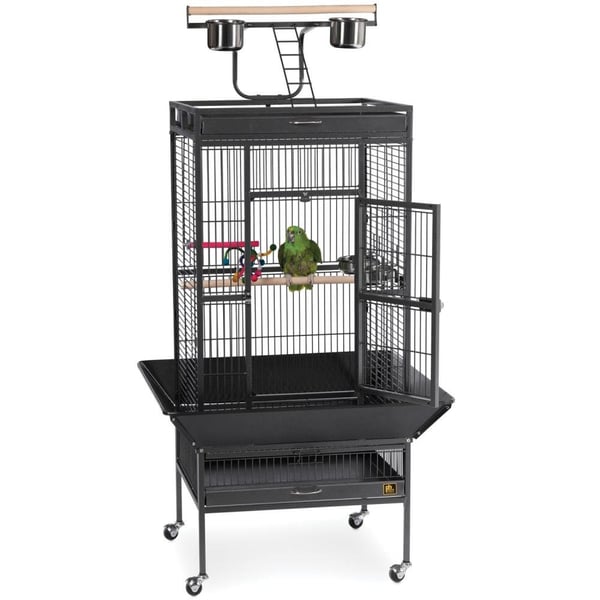 Medium Wrought Iron Select Bird Cage - Black