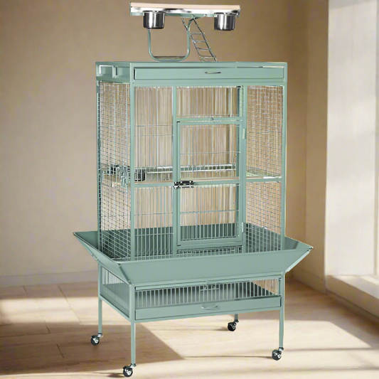 Large Select Wrought Iron Play Top Bird Cage - Sage Green