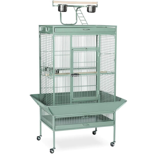 Large Select Wrought Iron Play Top Bird Cage - Sage Green