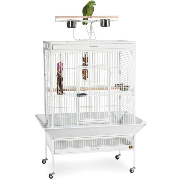 Select Wrought Iron Play Top Parrot Cage - Chalk White