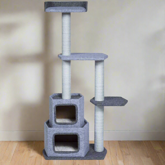 Productos para mascotas Prevue Kitty Power Paws Sky Tower