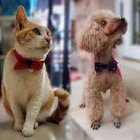 Pet Accessories Pet Bow Tie