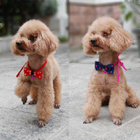 Pet Accessories Pet Bow Tie