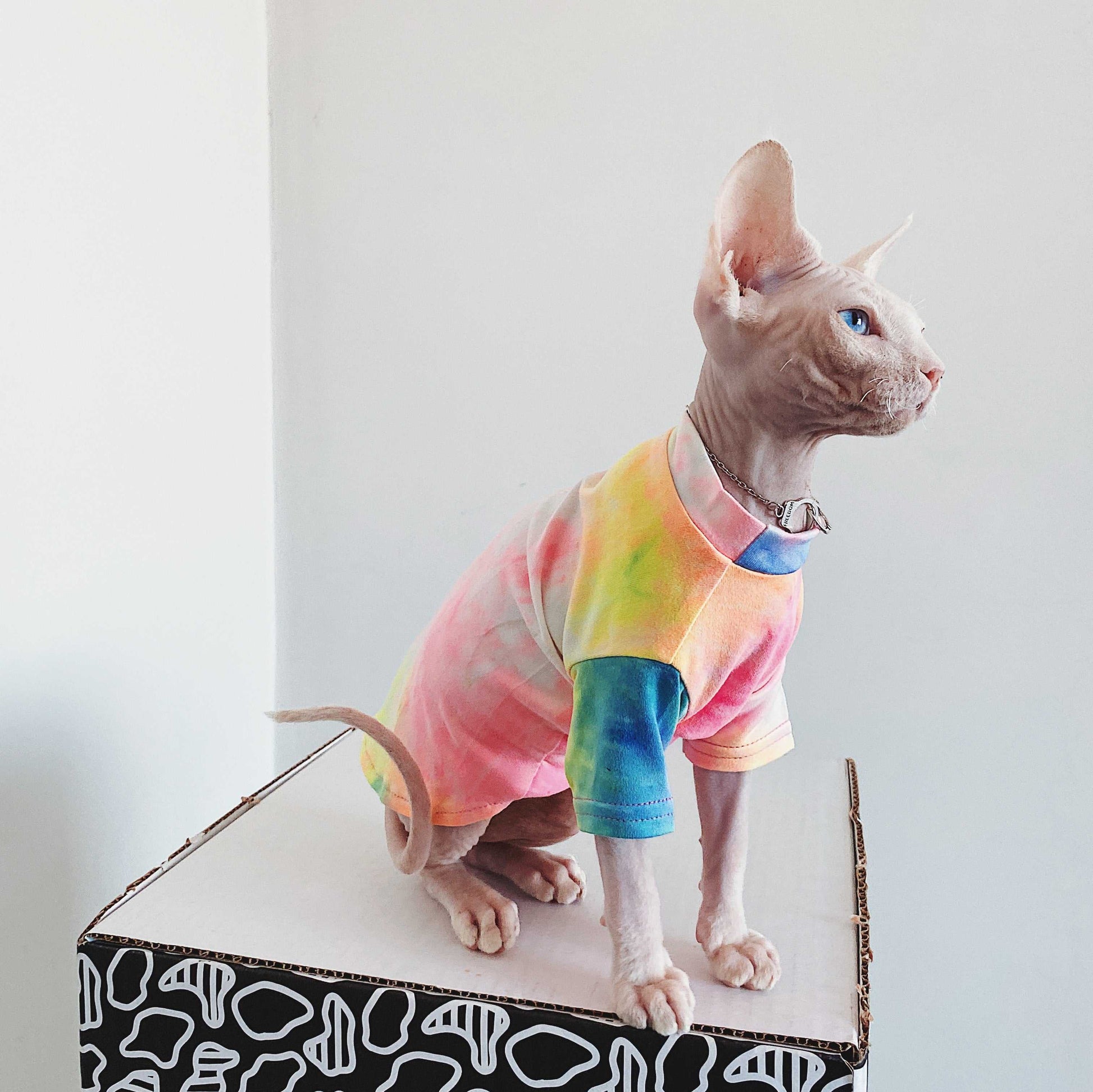 Tie-dye Rainbow Cat Clothes