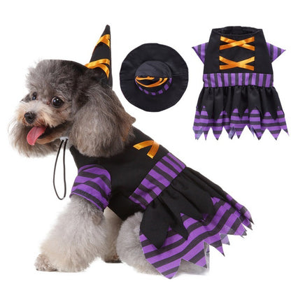 Enchanted Evening: A Bewitching Halloween Pet Costume