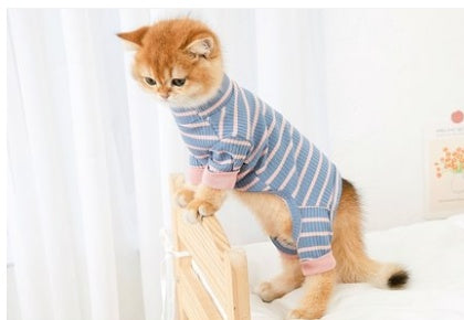 Purr-fect Fit: Four-Legged Feline Fashion