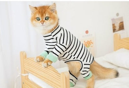 Purr-fect Fit: Four-Legged Feline Fashion