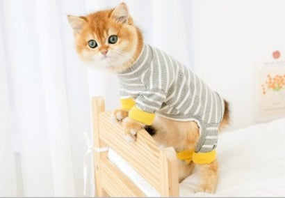 Purr-fect Fit: Four-Legged Feline Fashion