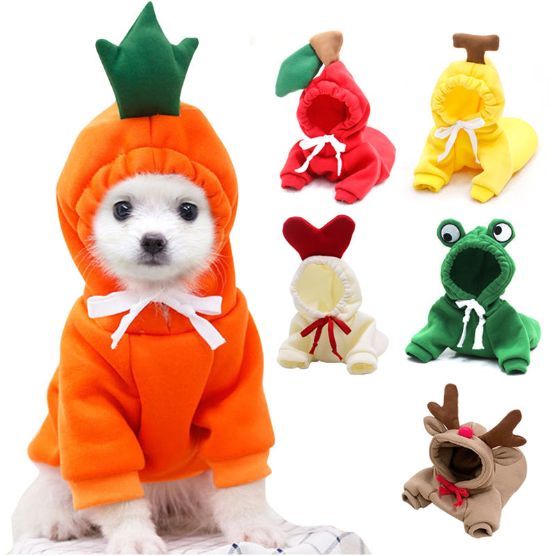 Ropa de otoño e invierno para mascotas