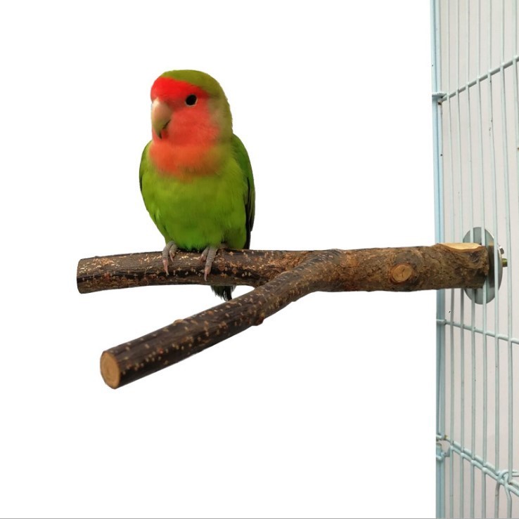 Perch & Play: Natural Rattan Ring Stand and Chew Toy for Birds