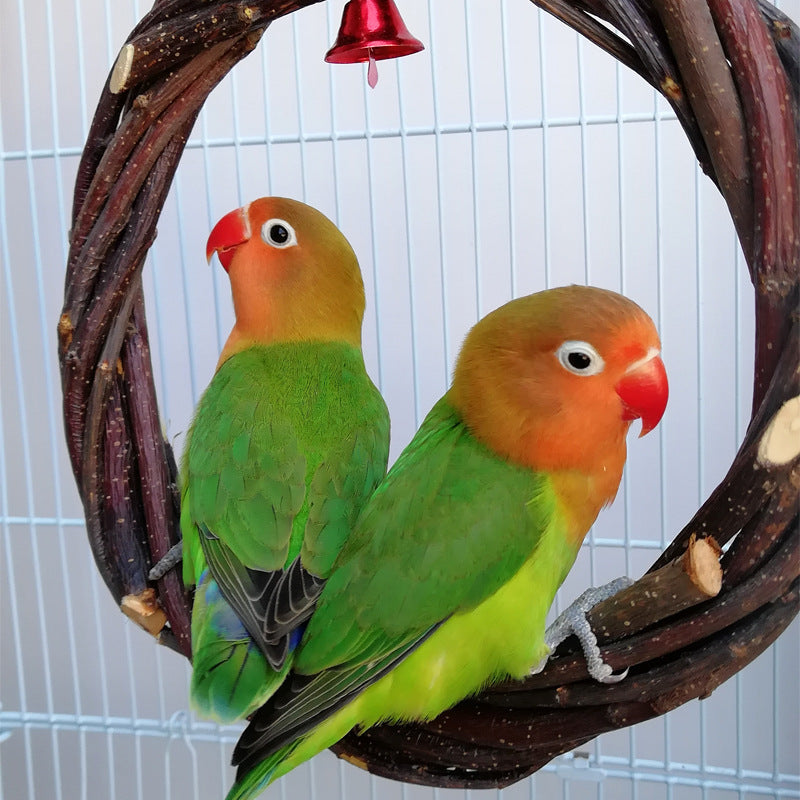 Perch & Play: Natural Rattan Ring Stand and Chew Toy for Birds