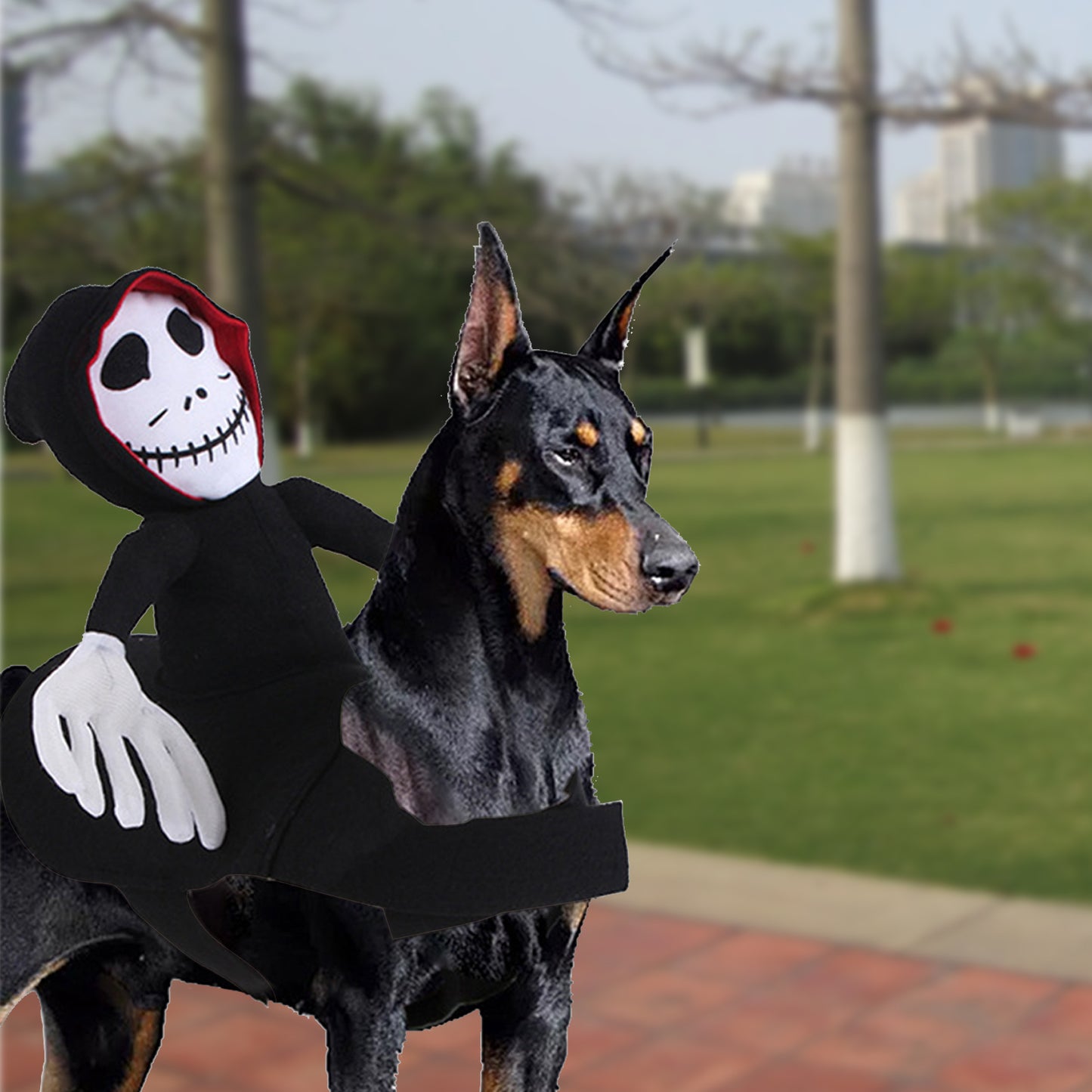 Spooky Paws: Spider Pumpkin Pet Costume - A Halloween Cosplay Delight!