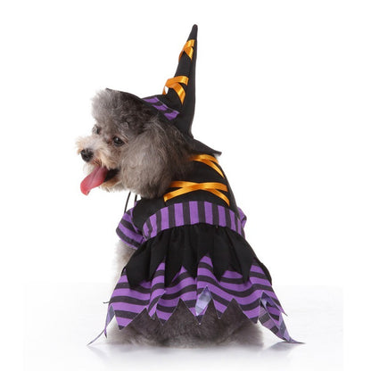 Enchanted Evening: A Bewitching Halloween Pet Costume