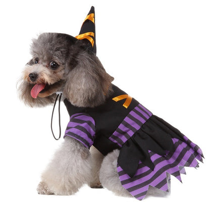 Enchanted Evening: A Bewitching Halloween Pet Costume