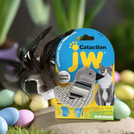 JW Pet Cataction Catnip Juguete para Gato, Pájaro, Blanco y Negro, con Cola de Plumas, 1 Unidad